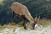 45 A pochi passi per un un po' di pane